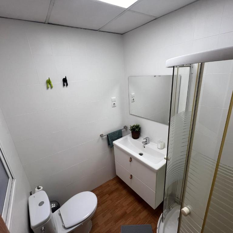 CENTRAL 3 BEDROOMS Málaga - Apartamento de 3 dormitorios - 23