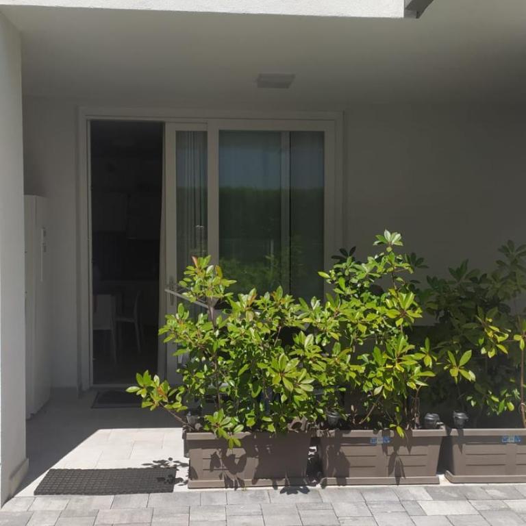 Jesolo Appartamenti F2 - Black and White - Appartamento con 2 Camere da Letto - 18