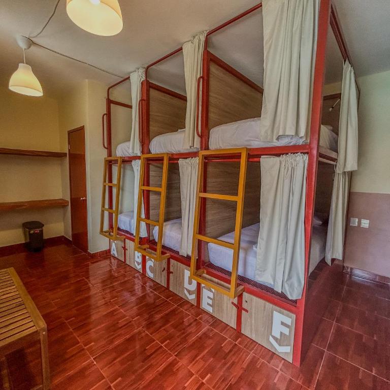 Viajero Puerto Escondido Hostel - Cama Individual en dormitorio compartido de 6 camas - 1