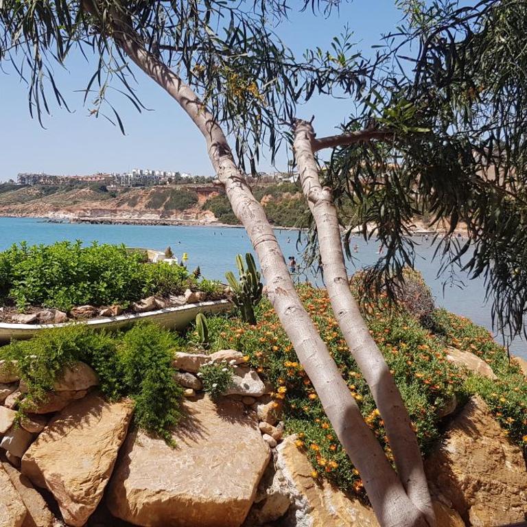 Residencial Cabo Roig - Apartamento de 2 dormitorios - 16