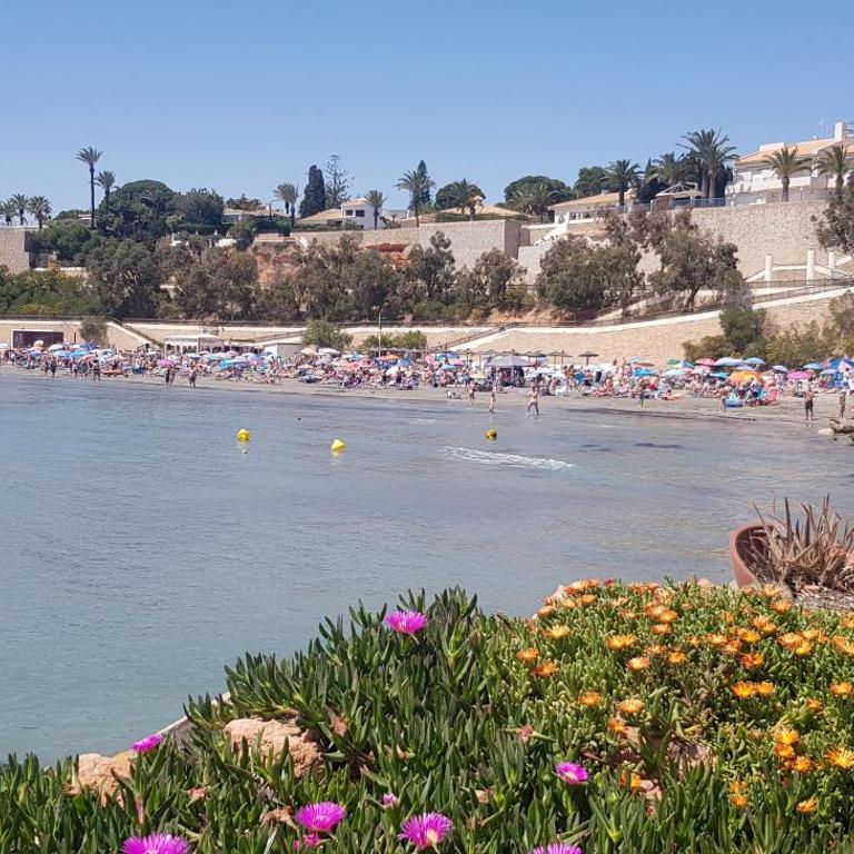 Residencial Cabo Roig - Apartamento de 2 dormitorios - 15