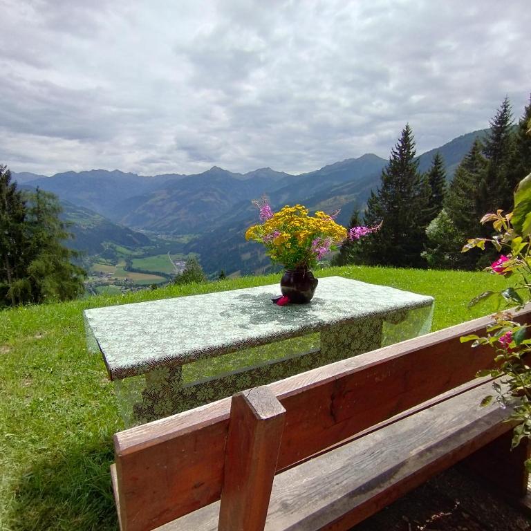 Panoramablick Line - Apartment - 30