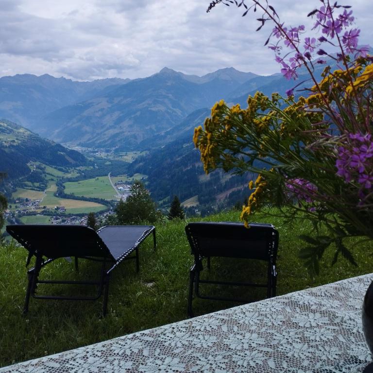 Panoramablick Line - Apartment - 32