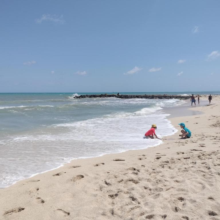 Relax Appartamento in prima linea della Spiaggia - Apartamento de 1 dormitorio - 56