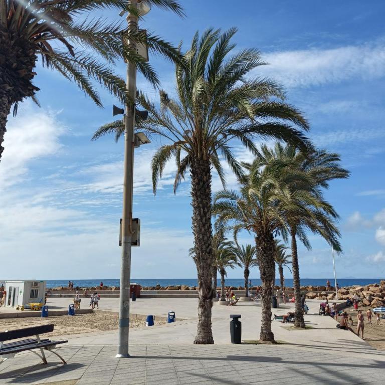 Relax Appartamento in prima linea della Spiaggia - Apartamento de 1 dormitorio - 16