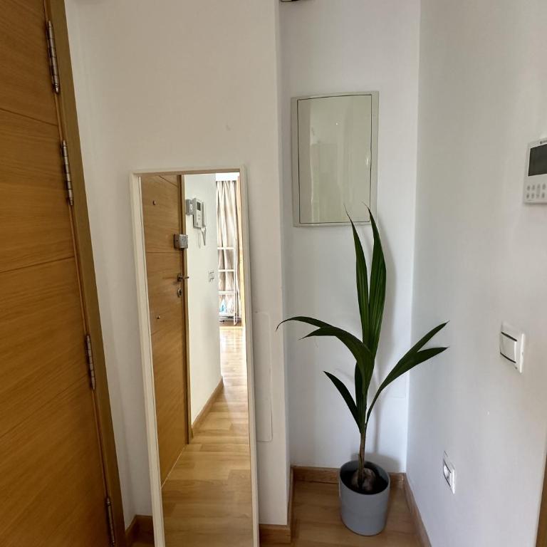 Apartamento Carreteria Centro Málaga - Apartamento Deluxe - 24