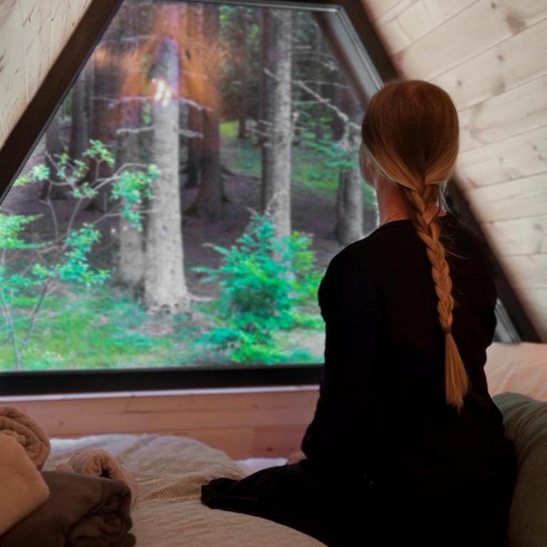 Viktorija chalet - Two-Bedroom Chalet - 41
