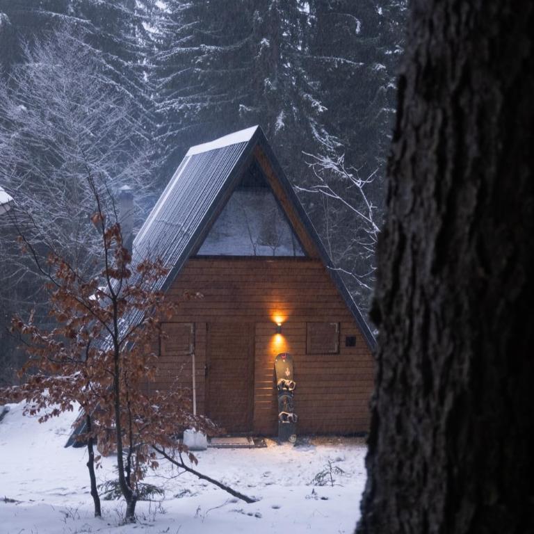Viktorija chalet - Two-Bedroom Chalet - 76