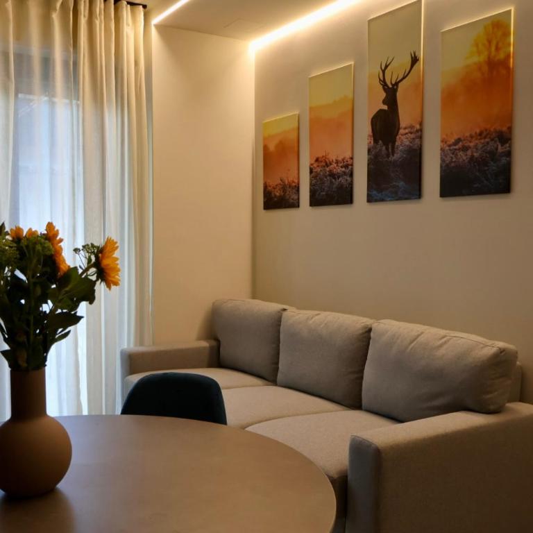 Cervus Home terrazza e parcheggio - Appartamento con Terrazza - 7