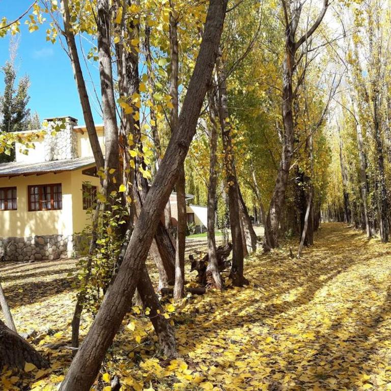 Bosque de Sol cabaña 4 - Apartamento de 2 dormitorios - 4