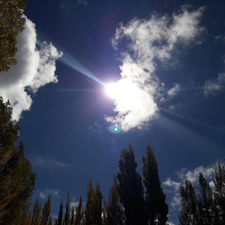 Bosque de Sol cabaña 1 - Apartamento de 1 dormitorio con balcón - 18