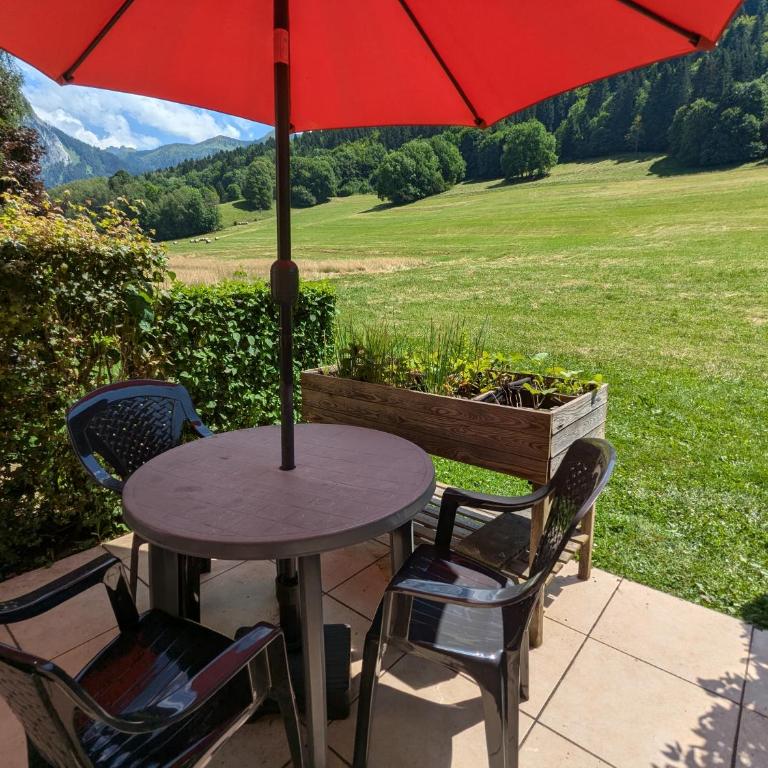 studio terrasse de charme près des pistes - Studio mit Bergblick - 24