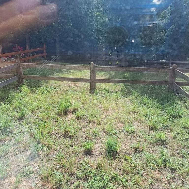 Appartamento con giardino e garage privati, accesso diretto al garage - Appartamento con 2 Camere da Letto - 18