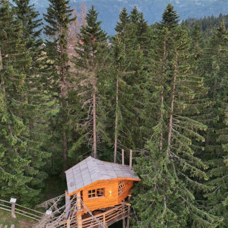 Guesthouse Planinarski dom Neviđen'o - Tree House - 1