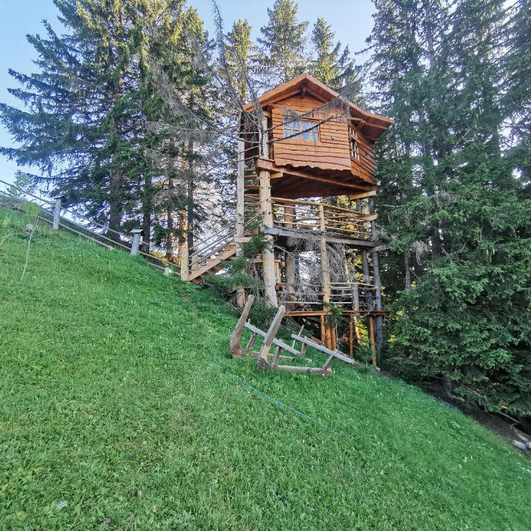 Guesthouse Planinarski dom Neviđen'o - Apartment - 1