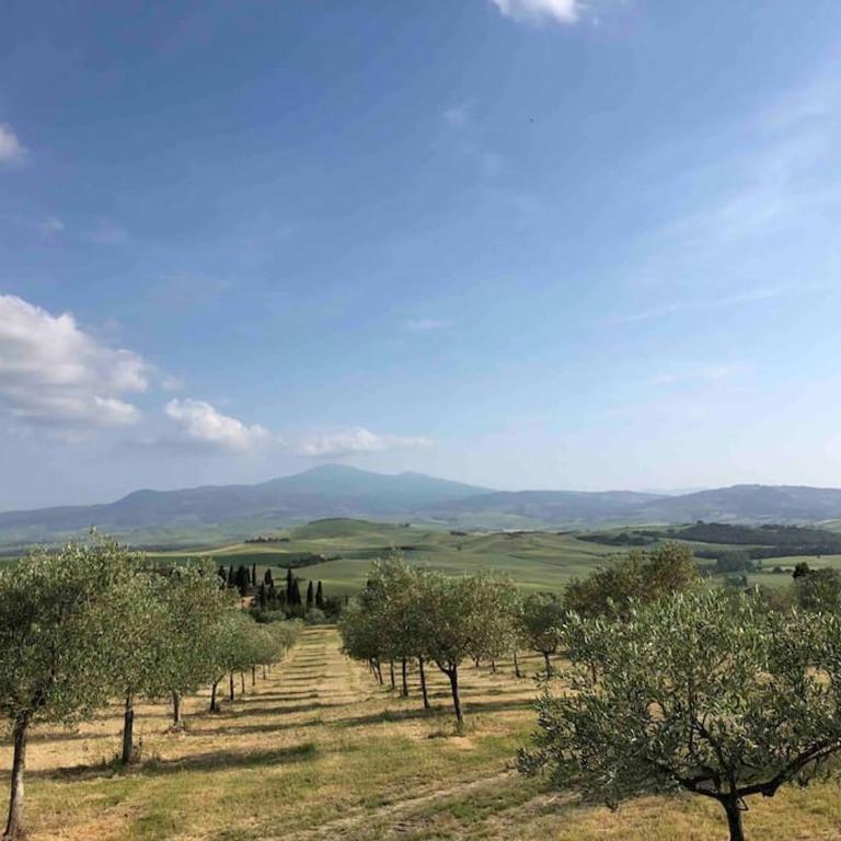 Podere Casa Rossa a Pienza - Appartamento con 4 Camere - 41