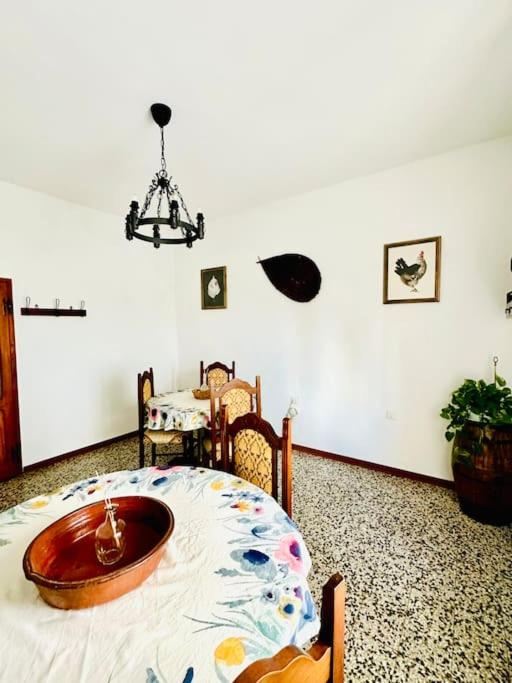 Podere Casa Rossa a Pienza - Appartamento con 4 Camere - 9