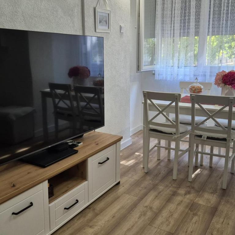 Apartman Kraljevici - One-Bedroom Apartment - 5