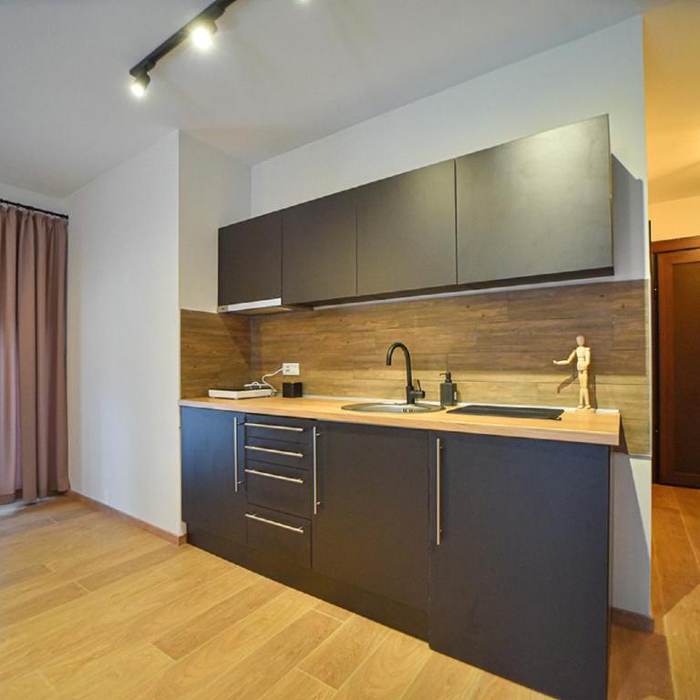 Beli Bor Zlatibor - Deluks Apartman sa 2 Spavaće Sobe i Pogledom na Vrt - 5