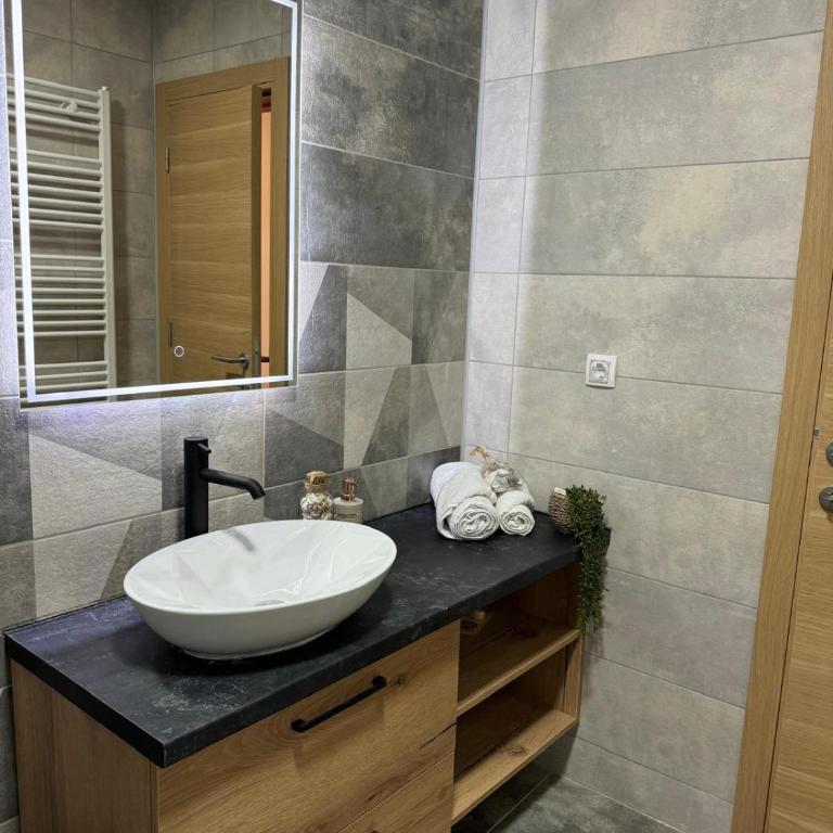 Viktor Lux Apartmani - Deluks Apartman sa 2 Spavaće Sobe i Balkonom - 7