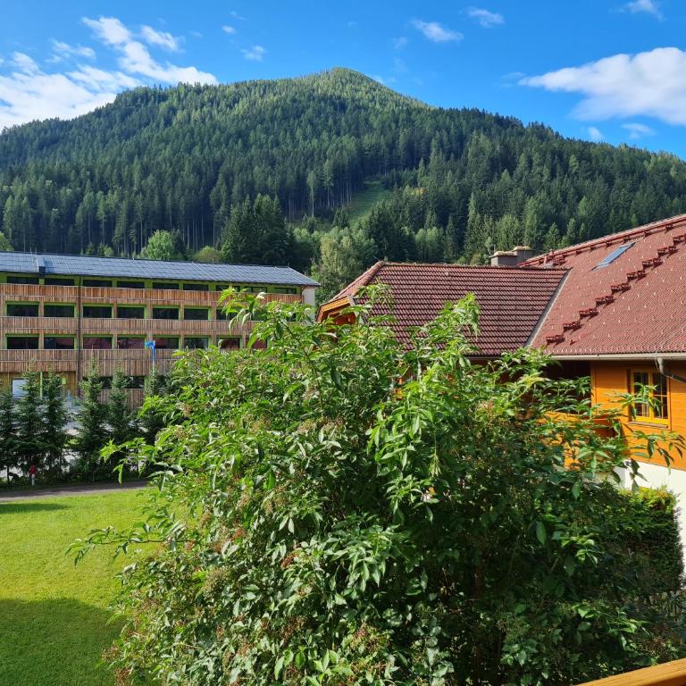 Haus Camilla by Globalimmoservice - Apartment mit 1 Schlafzimmer - 2