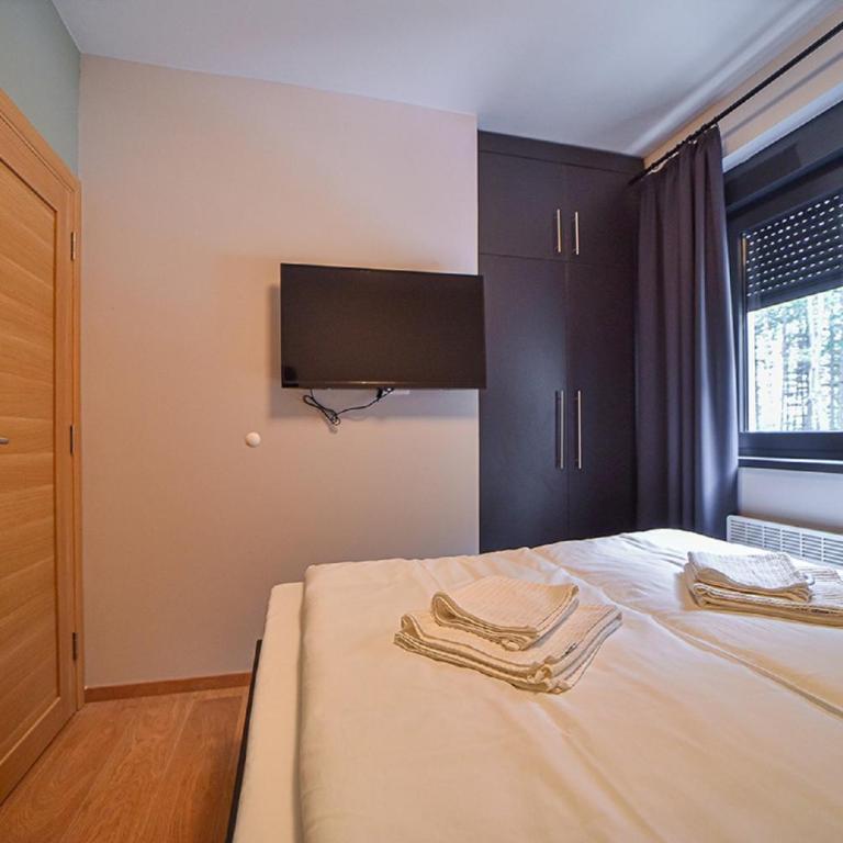 Beli Bor Zlatibor - Apartman sa Terasom - 6