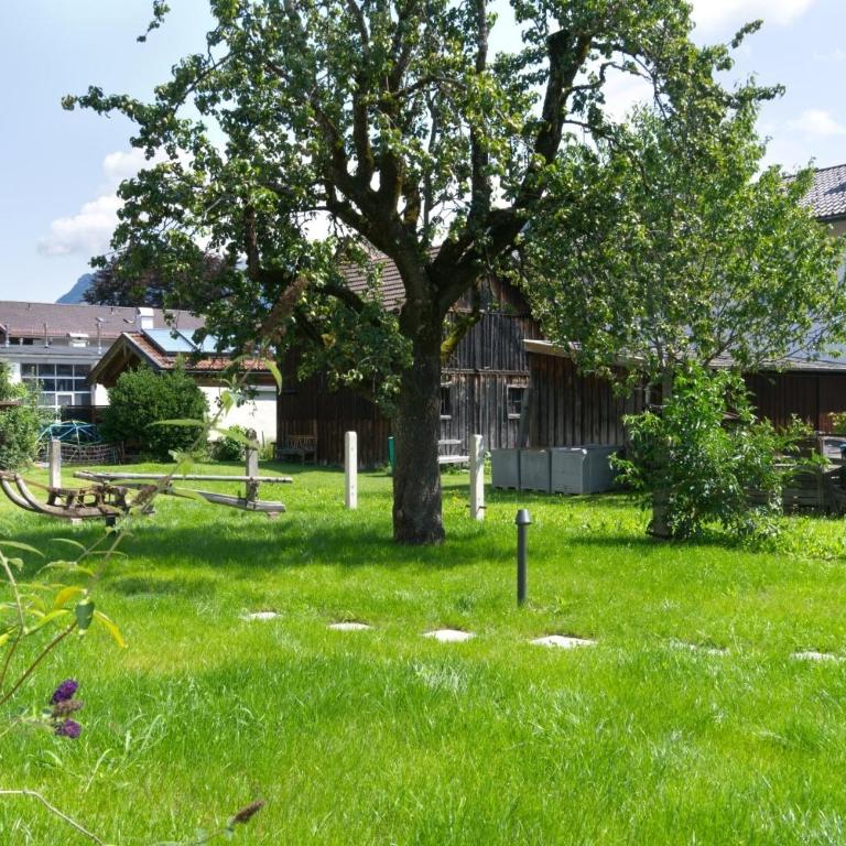 Adlerhaus, Gartenwohnung -410- - Apartment - 10