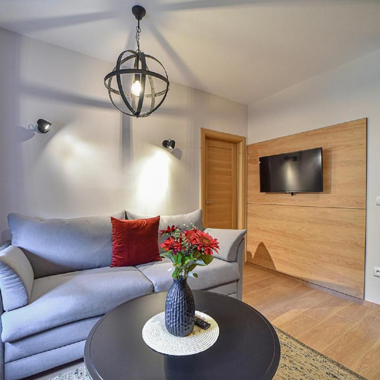 Beli Bor Zlatibor - Apartman sa Terasom - 8