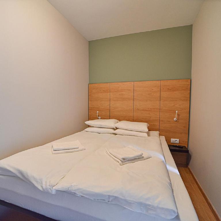 Beli Bor Zlatibor - Apartman sa Terasom - 5