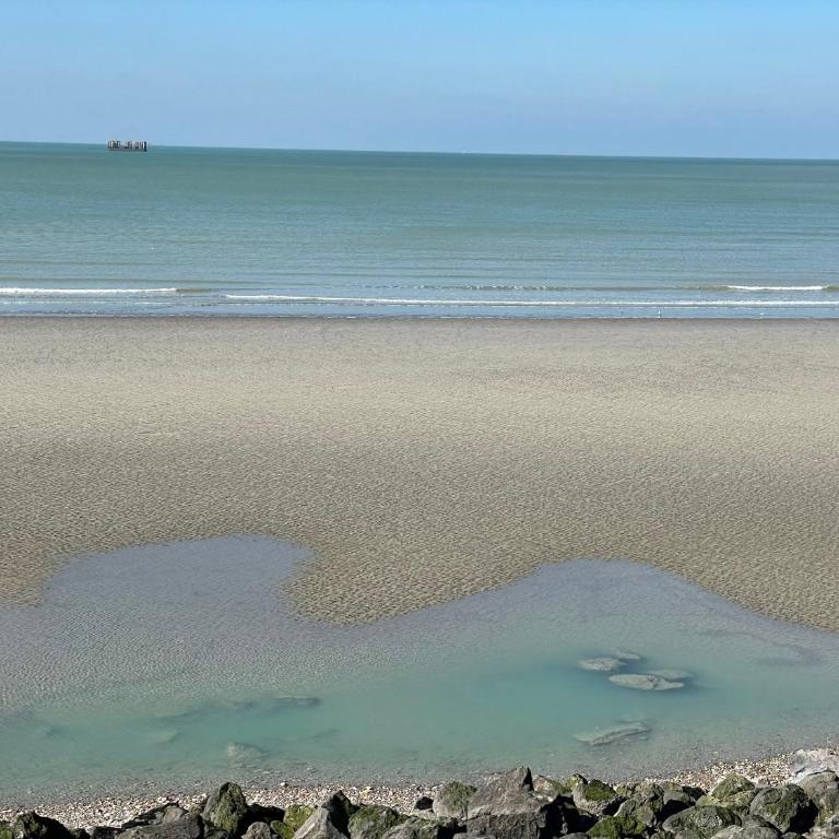 Serenity view Villa face mer 5 mn de Nausicaa - Villa - 64