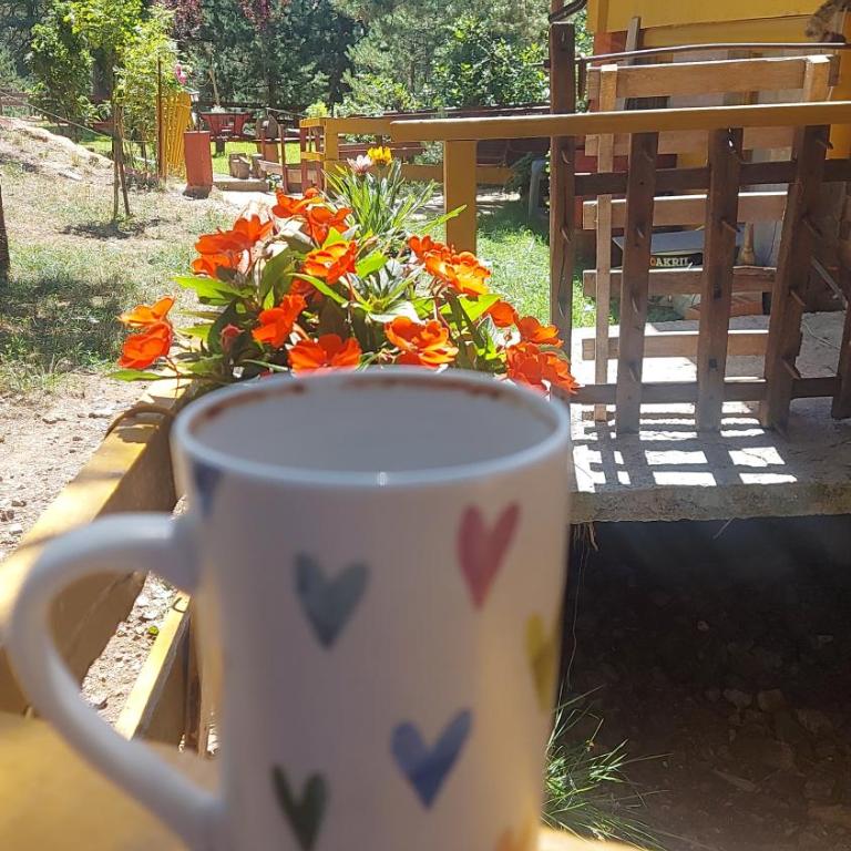 Planinska kuca Lunjo & Vuk - Kuća sa 1 Spavaćom Sobom - 4