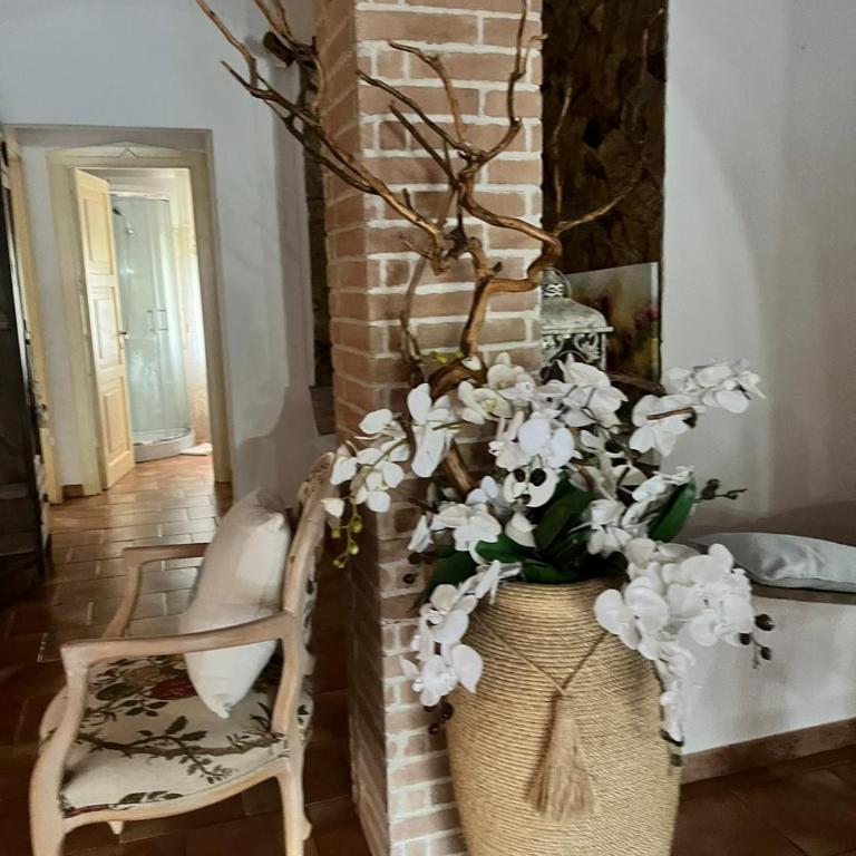villa con immenso giardino - Villa con Vista Giardino - 34