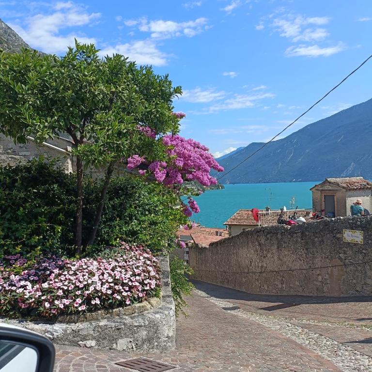 Casa Cristina - Appartamento con 2 Camere da Letto - 19