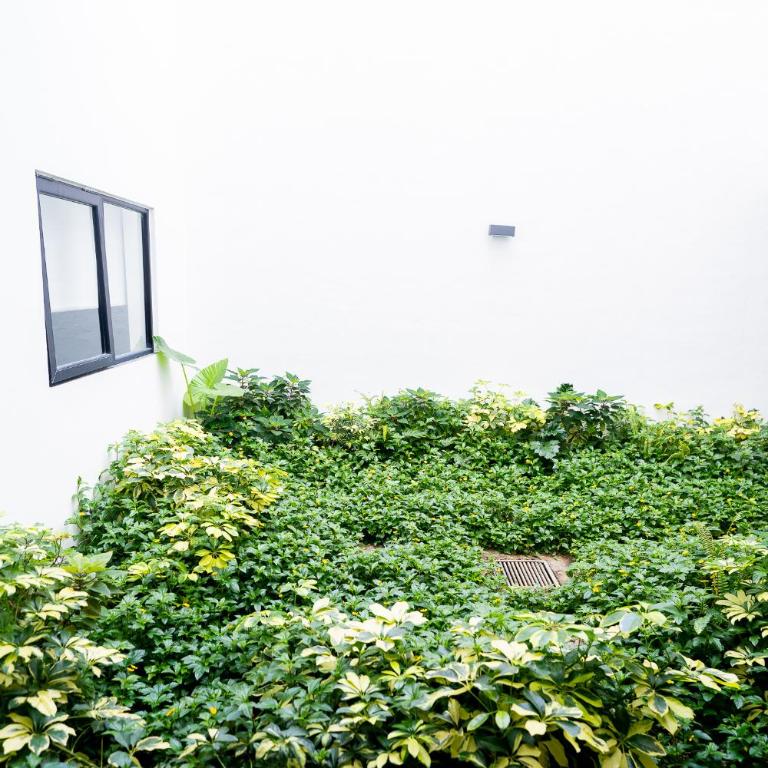 Excelente Ubicación en Colonia Americana - Two-Bedroom Apartment - 61