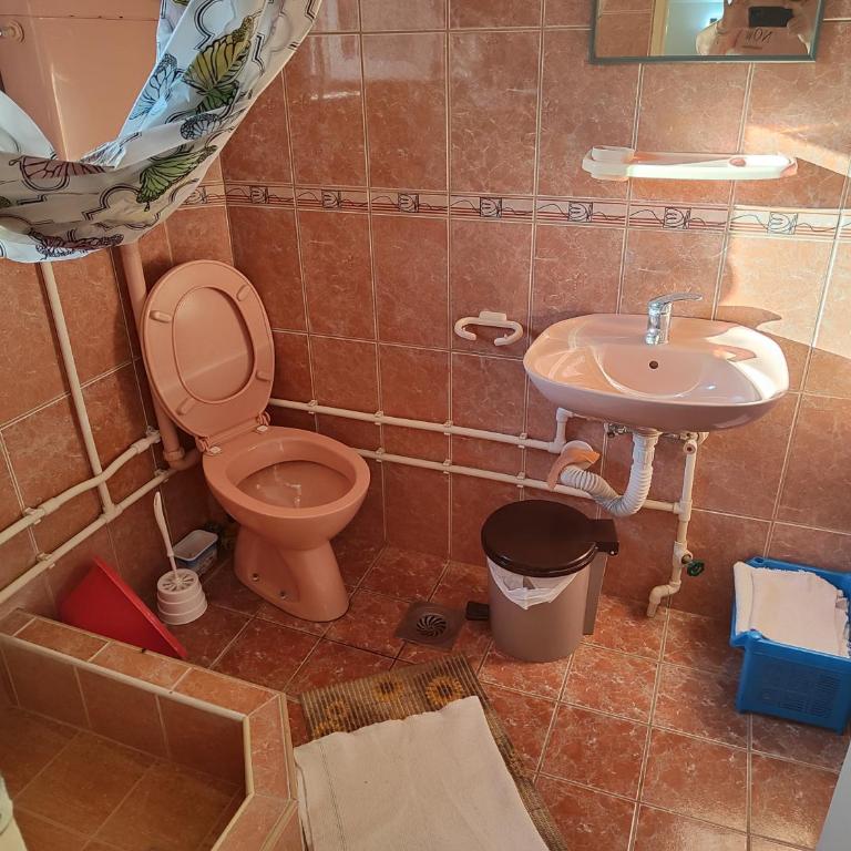 Sokosan apartmani - Studio - 13
