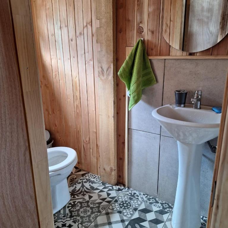 Cabaña Los Chilcos - Neltume - Huilo Huilo - Three-Bedroom House - 13