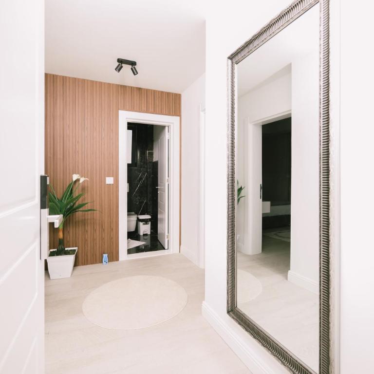 Apartments Moon White Lux - Studio Apartment - 2