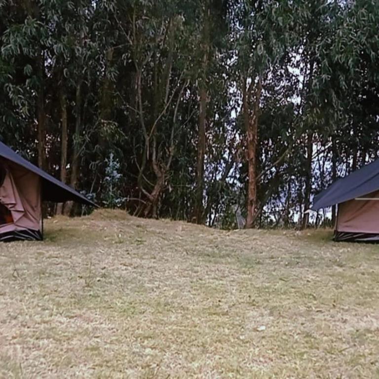 Hospedaje Guatavita cabaña tippie - Habitación Doble - 11