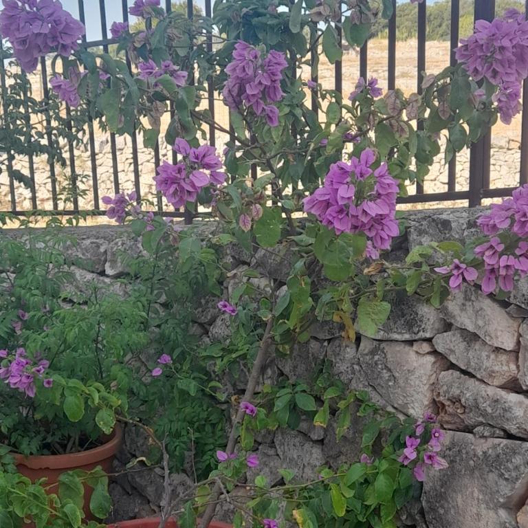 Villa Ottocento Molillo - Three-Bedroom House - 21