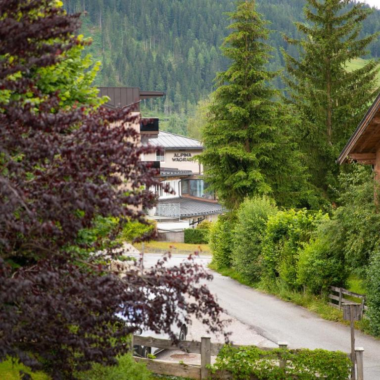 Pension Mozart - Studio mit Doppelbett und Schlafsofa - 6