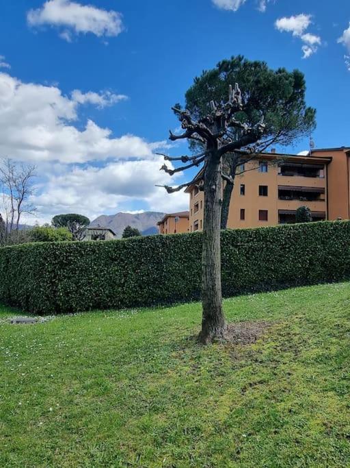 Como Lake Green Oasis - Appartamento con 2 Camere da Letto - 35