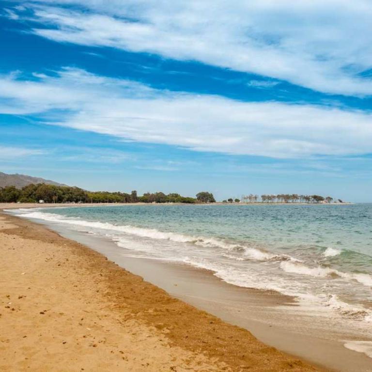 Gayel Vera Playa - Apartamento de 2 dormitorios - 17