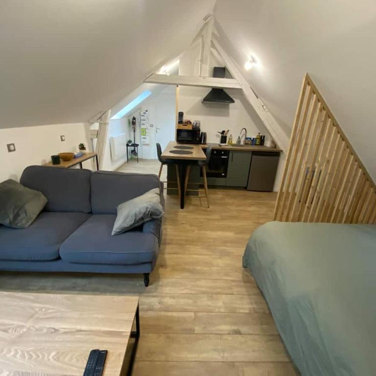 Chaleureux studio hyper centre - Appartement 1 Chambre - 4