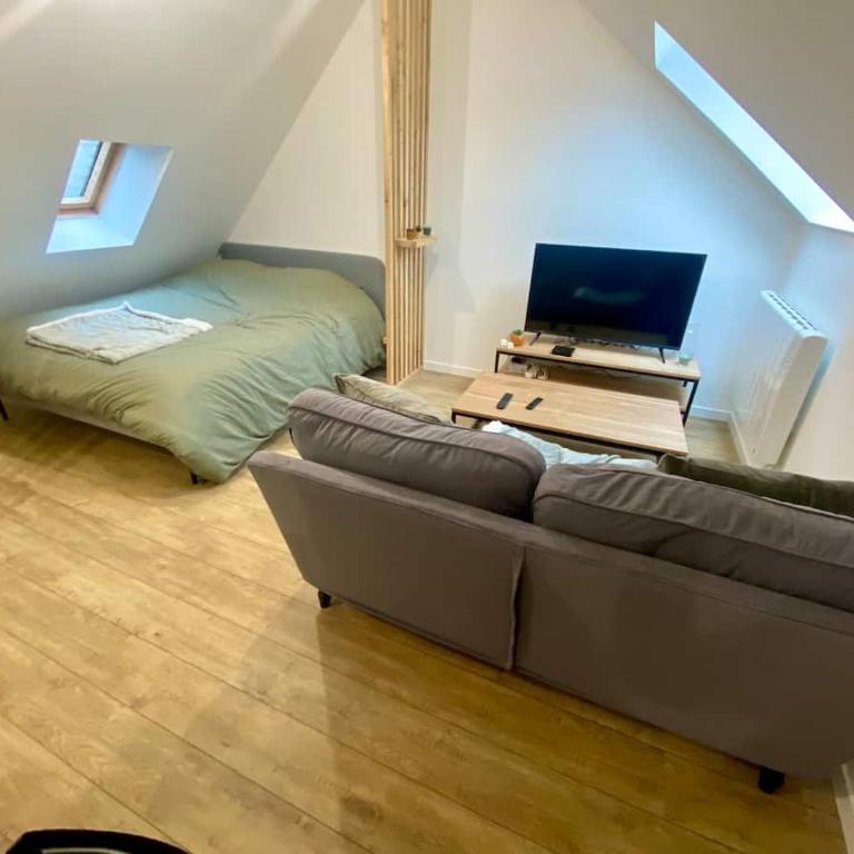 Chaleureux studio hyper centre - Appartement 1 Chambre - 7