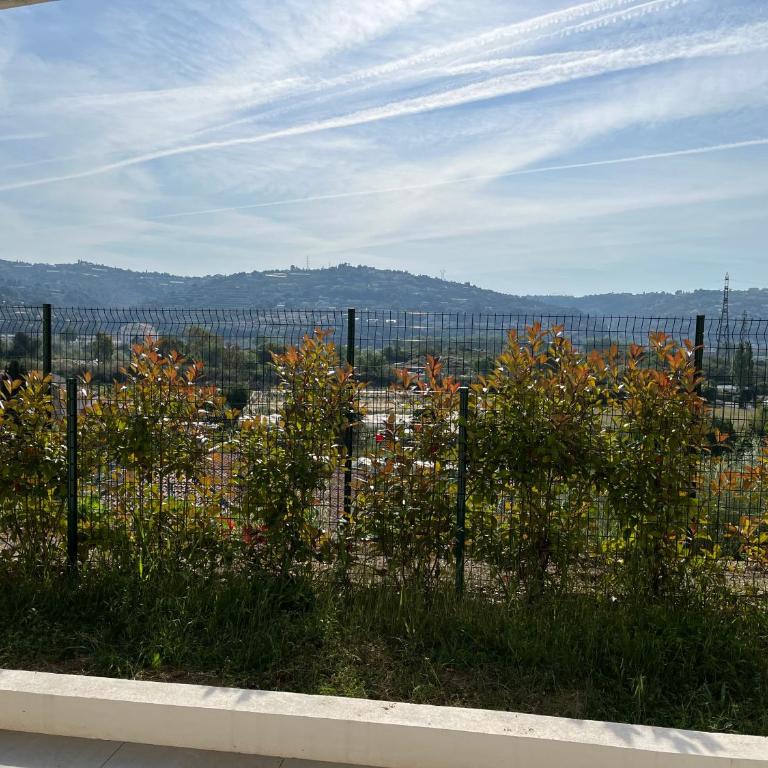 Superbe appartement lumineux en rez de jardin - One-Bedroom Apartment - 6