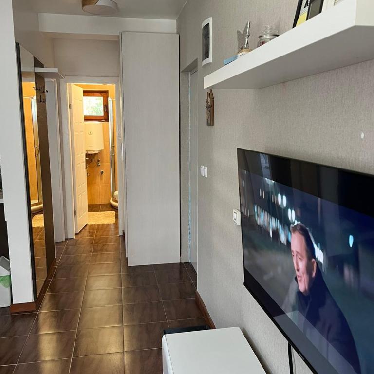 Apartman Treska Kop - One-Bedroom Apartment - 12