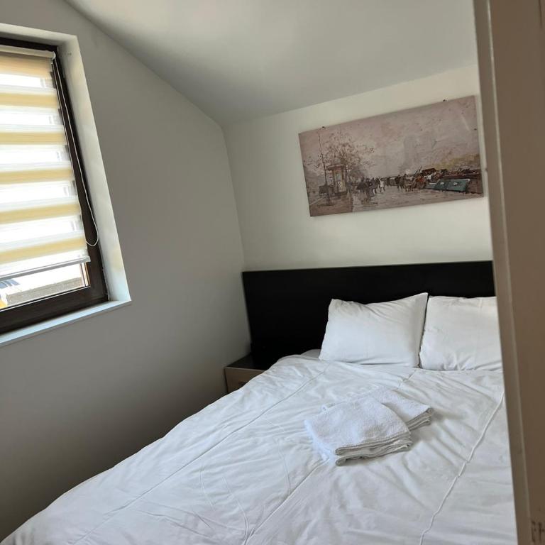 Apartman Treska Kop - One-Bedroom Apartment - 16