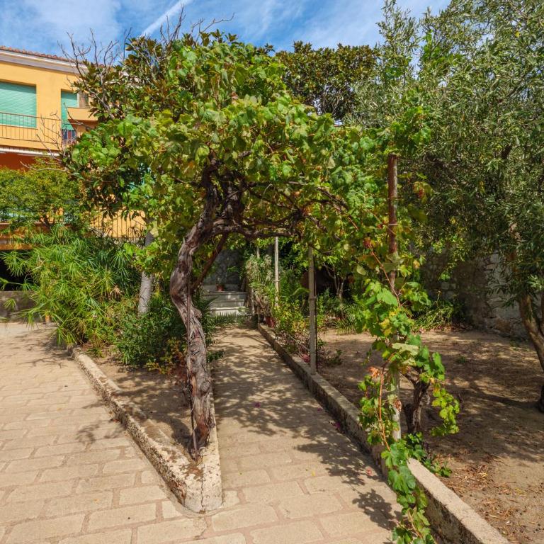 Grande casa vista mare con splendida terrazza - Casa con 3 Camere da Letto - 27
