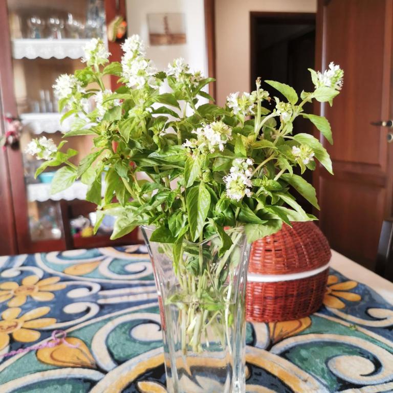 ZAGARA appartamenti - Appartamento con Vista Mare - 16