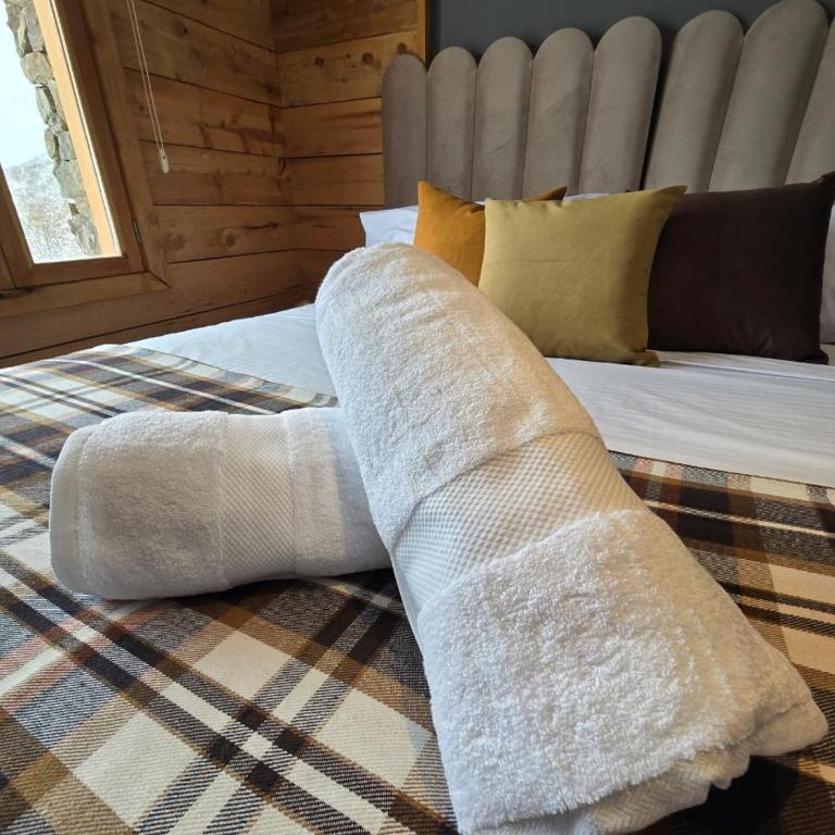 Après Ski Lodge de Montaña - Habitación Doble Estándar con balcón - 1 o 2 camas - 2